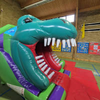 Dino Head Bounce N Slide