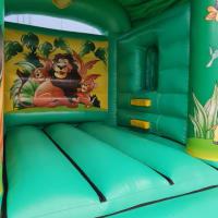 Jungle Theme Combi With Slide