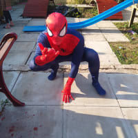 Spiderman Mascot