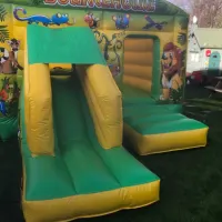 Jungle Bouncy And Slide