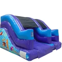 Party Theme 5ft Slide