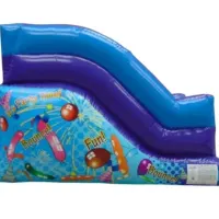 Party Theme 5ft Slide