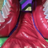 Dino Head Bounce N Slide