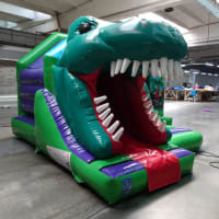 3d Dinosaur Front Slide Castle