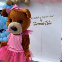 Teddy Bear Party