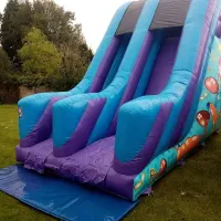 10ft Platform Party Slide