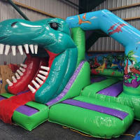 3d Dinosaur Bouncy Castle With Slide