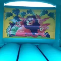 Jungle Bouncer With Slide