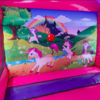 Unicorn Castle With Slide