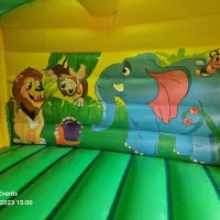 Jungle Bouncy Castle/slide