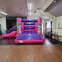 Jungle 18ft X 14ft H Frame Pink And Purple Side Slide Combi