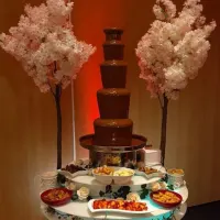 Chocolate Fountain Hire Large