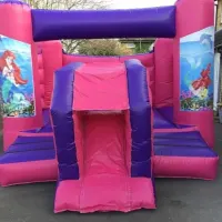 Pink Toddler Bounce And Slide