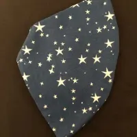 Harry Potter Stars Mask