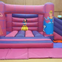 Princess Theme Combi Castle With Slide