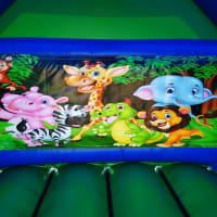 Jungle Disco Bouncy Castle