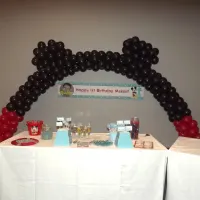 Large Balloon Arch