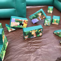 Jungle Soft Play And Surround