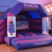 Frozen Bouncy Castle And Slide Combo