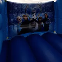 Frozen Castle & Slide