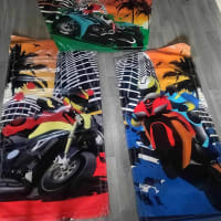 Plain Green And Purple Castle With Side Slide