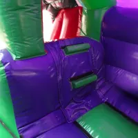 3d Dinosaur Front Slide Castle