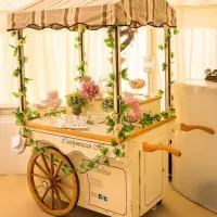 Large Deluxe White Sweet Cart