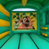 Jungle Theme Combi With Slide