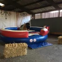 Rodeo Bull Hire Nottingham