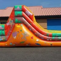 Assault Course And Slide
