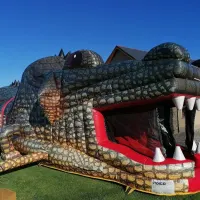 Crocodile Assault Course