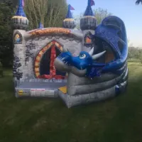 Dragon Castle With Slide