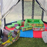 Gold Jungle Soft Play Set