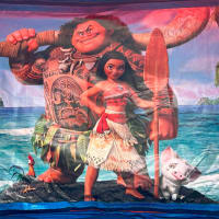 15ft X 12ft Blue And Red Indoor Castle -moana Theme