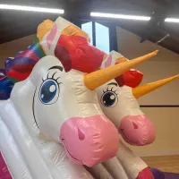 Unicorn Combi Slide Castle