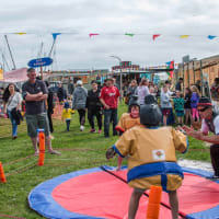 Sumo Suit Hire