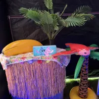 Inflatable Disco Hire - Stitch Theme