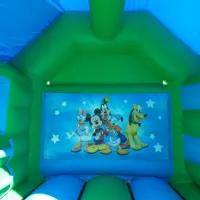 17ft X 15ft Mickey Mouse With Slide