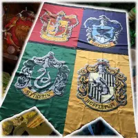 Harry Potter Party Package 2 Hours