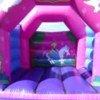 Arched Pink Princess Castle