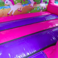 Unicorn Castle With Slide