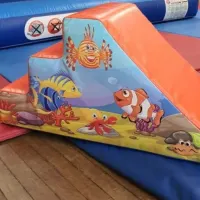 Ultimate 3d Shark Slide Castle Party Package