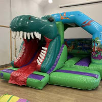 Dinosaur Castle And Magic Show Little Disco  Games - 2hr Package