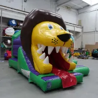 3d Lion Front Slide Combo Bouncy Castle Hire Wirral