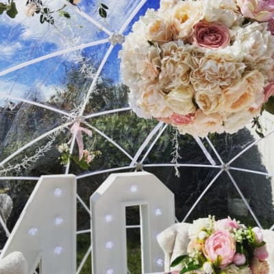 Garden Igloo Pods