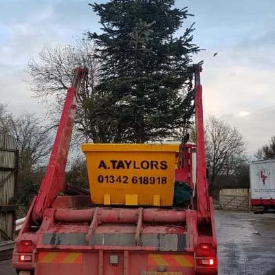 Christmas Tree Collection In Redhill