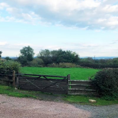 Wild Meadow Boarding Kennels