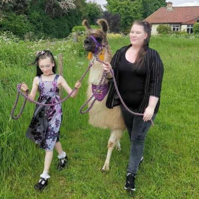 Llama And Alpaca Walks