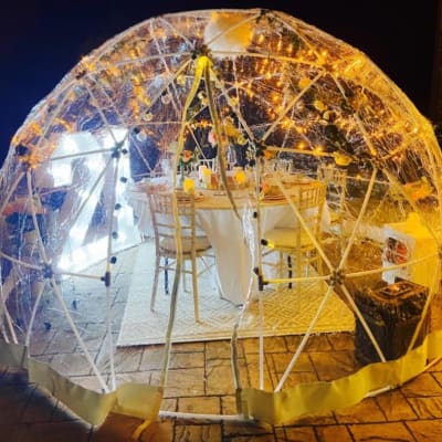 Garden Igloo Pods