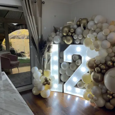 Led 12 To Hire With Balloon Decorations For Birthdays Or Events.